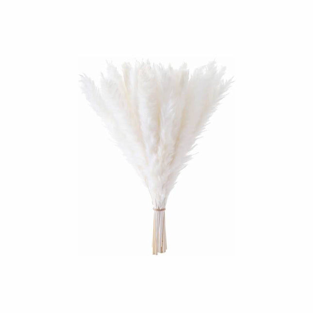 Graceful Plumes Decor