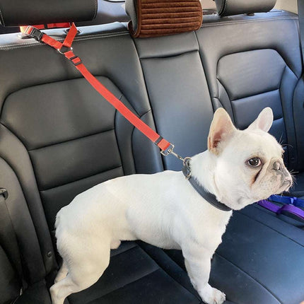 PupPal: The Adjustable Car Leash